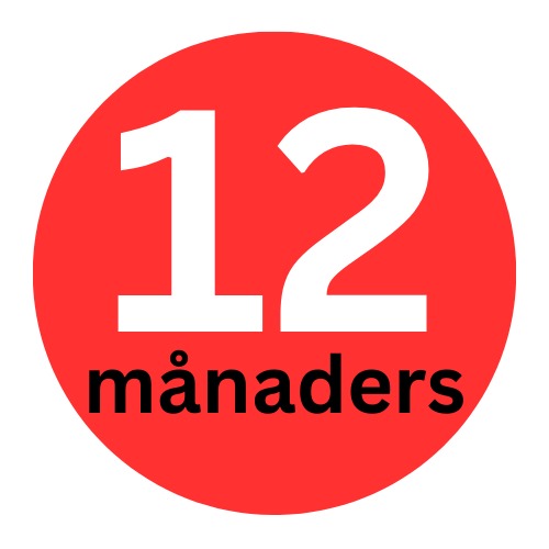 12 MONATE *4 BASIC